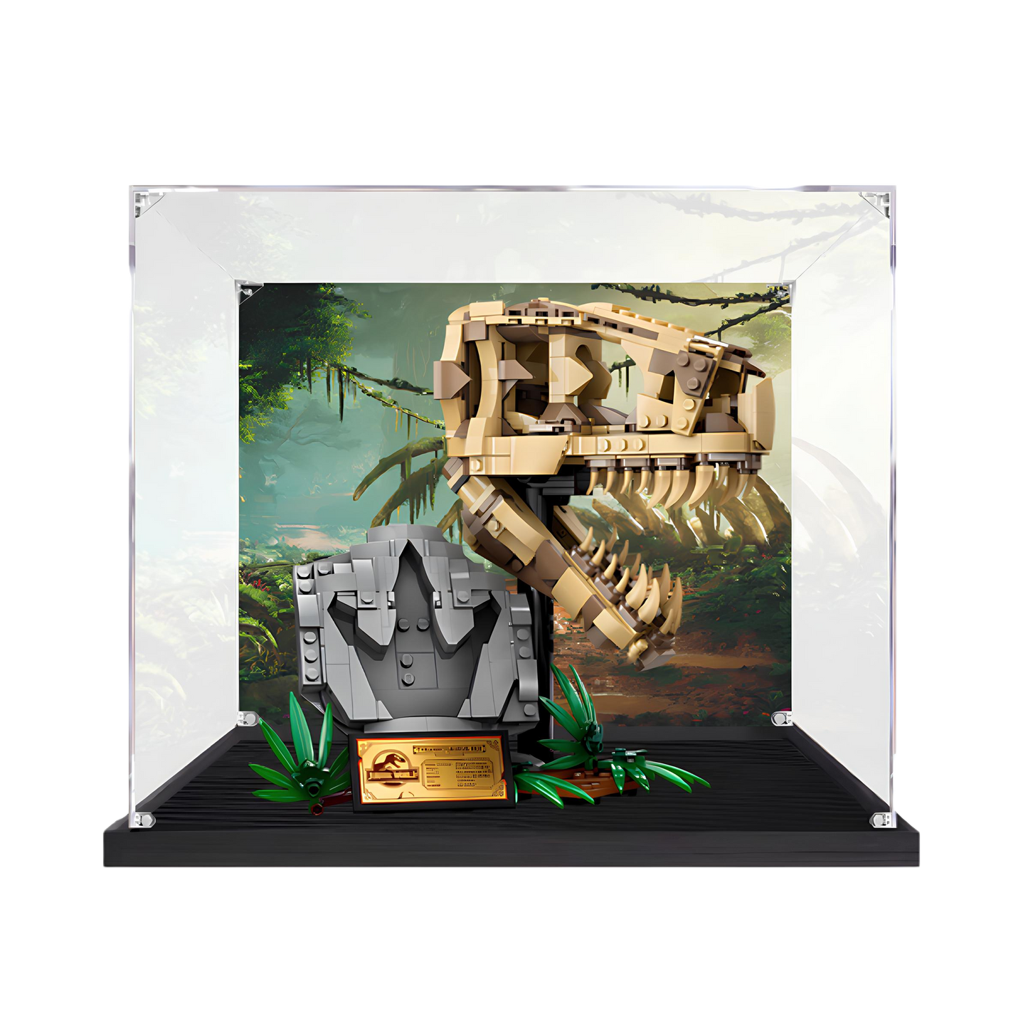 Acrylic LEGO Display Case for LEGO® Dinosaur Fossils: T. rex Skull 76964