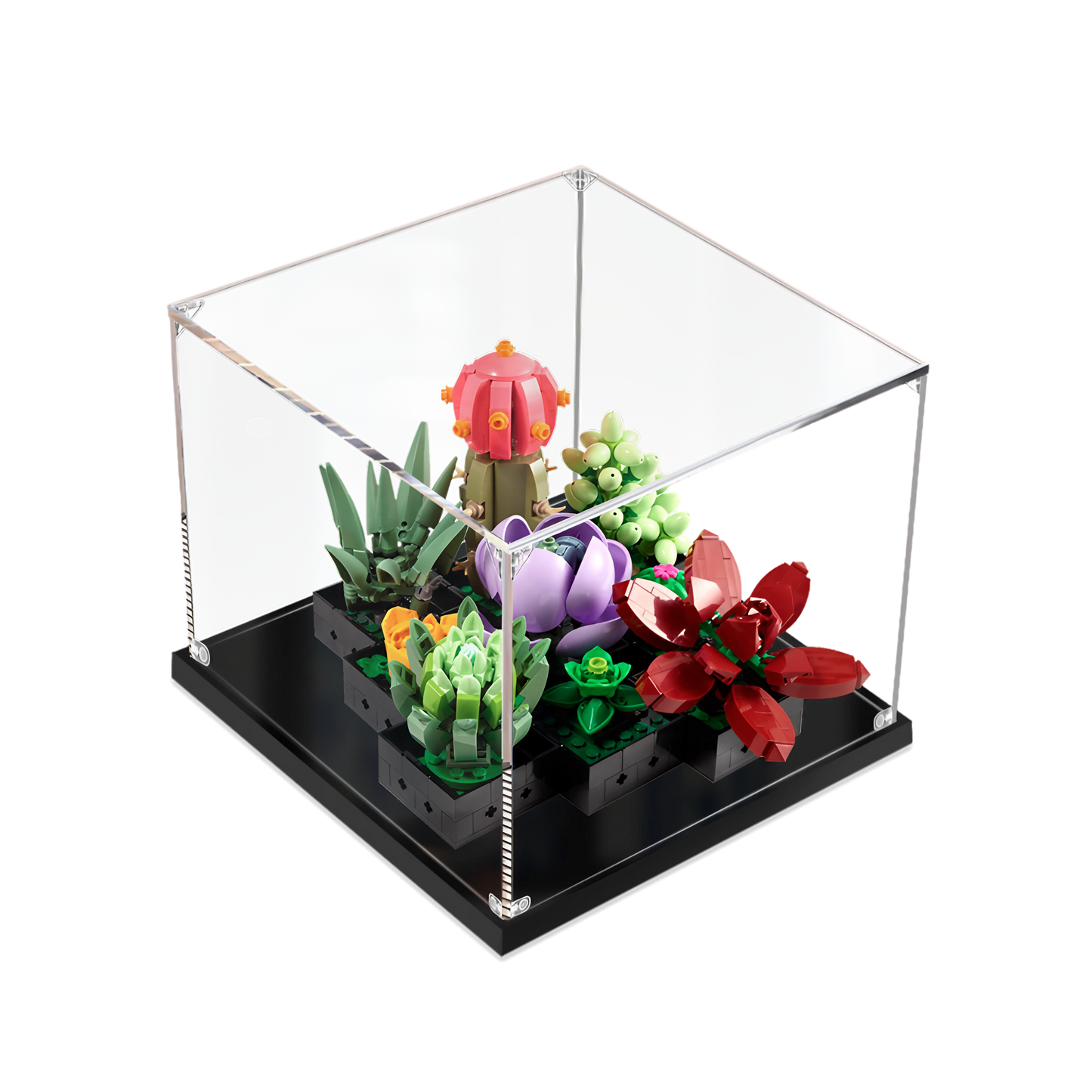 Acrylic Display Case for LEGO® Succulents 10309
