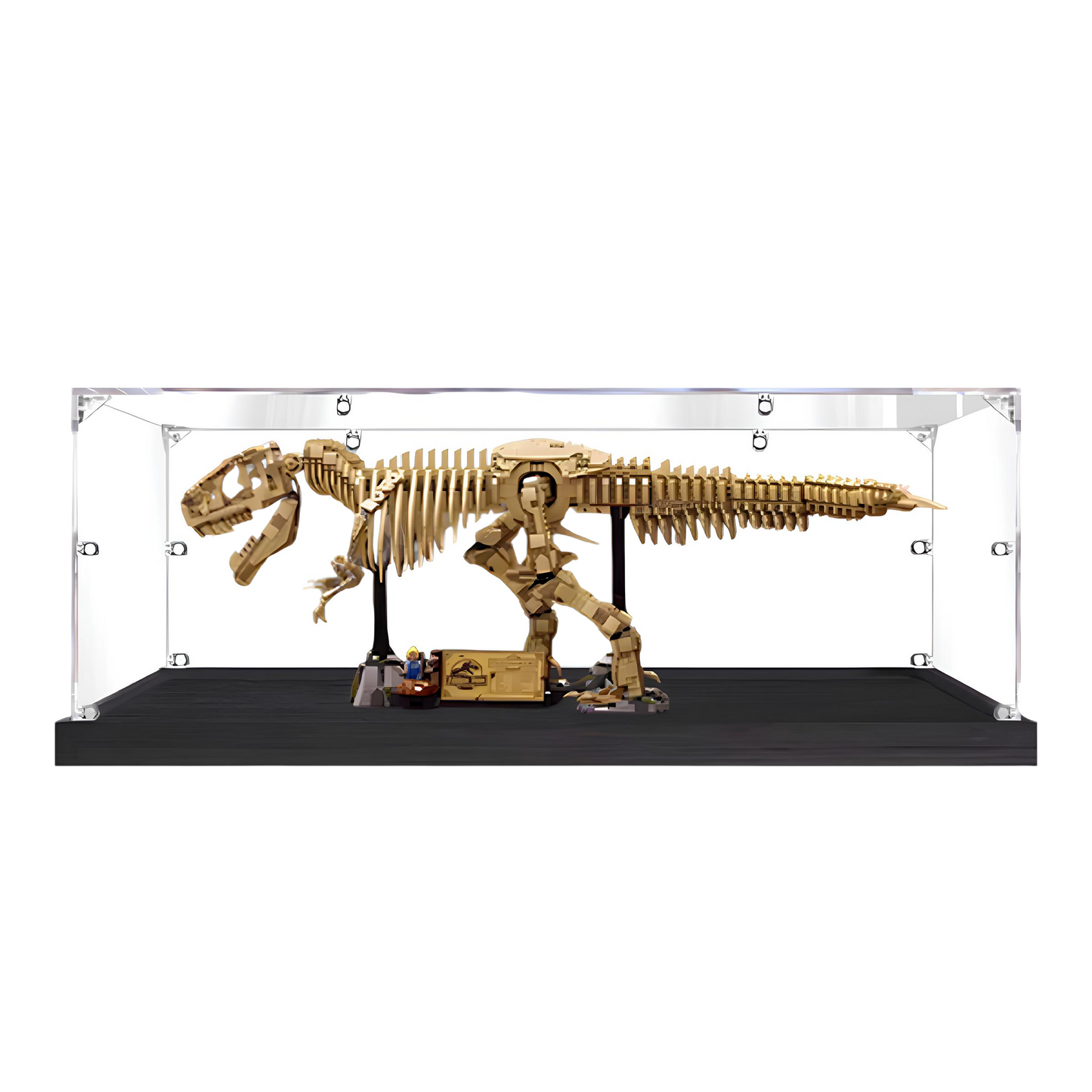 Acrylic LEGO Display Case for LEGO® Dinosaur Fossils: Tyrannosaurus rex 76968