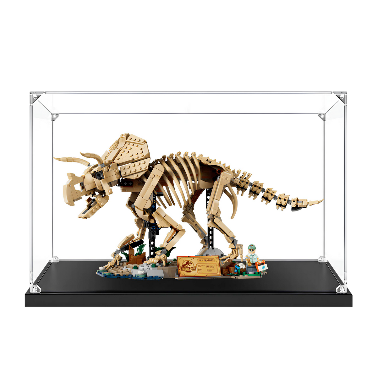 Acrylic Display Case for LEGO Dinosaur Fossils: Triceratops 77985